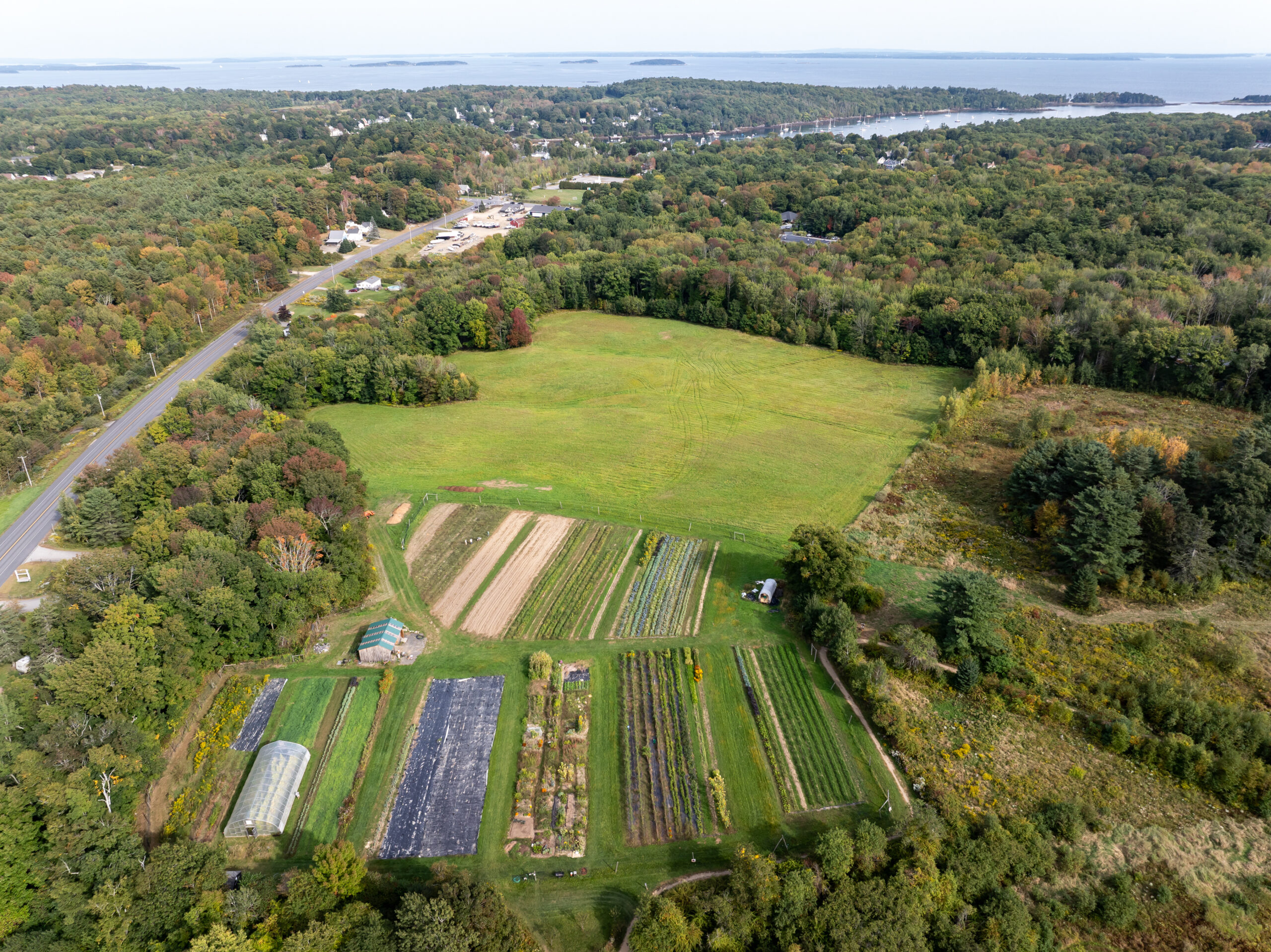 Picture of Farm (1)